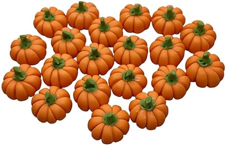 20 Mini Pumpkins Vegetable Garden Display Minimal Decor