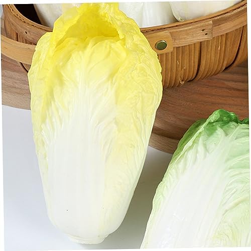 GARVALON Realistic Chinese Cabbage Kitchen Decor Model