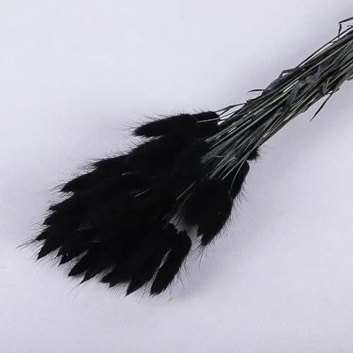 Fosangpushi Black Bunny Tail Dried Flowers Bouquet
