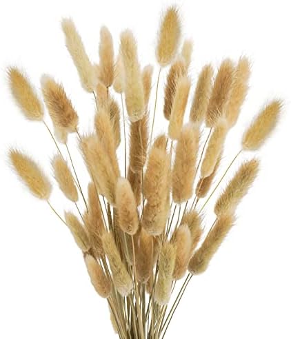 Uieke 17 Inch Natural Bunny Tails Dried Flowers 120 Pcs