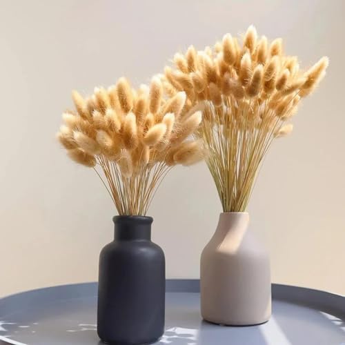 Dried Bunny Tail Flowers 100Pcs Real Natural Boho Decor