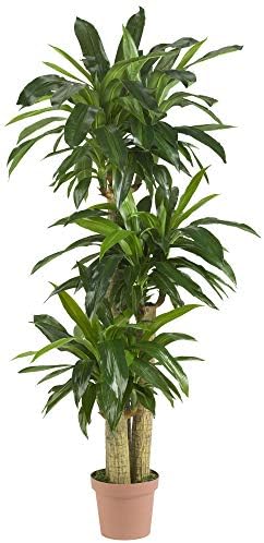 Nearly Natural 62 Inch Artificial Corn Stalk Dracaena Plant