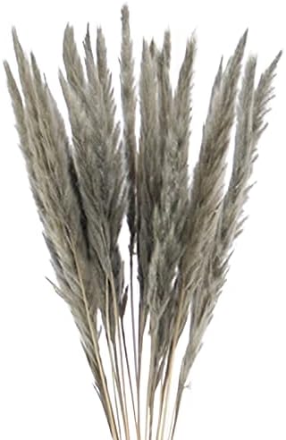 45 PCS Natural Dried Pampas Grass Wedding Decor