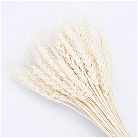 HANRUO Dried Flowers 50Pcs Wedding Decor Craft Prop Set