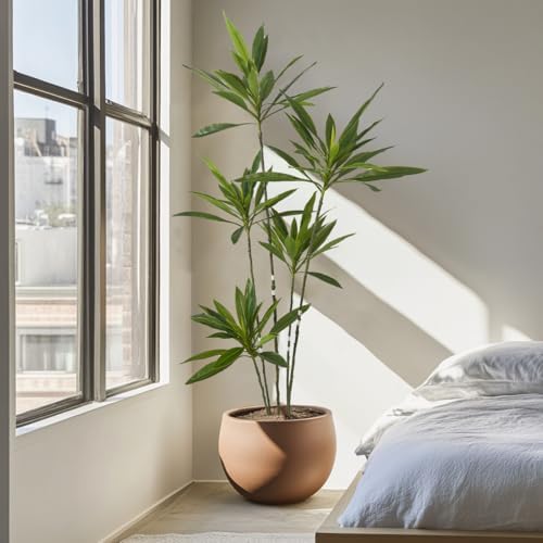Artificial Cordyline Plant 6 Ft Tall with Pot
