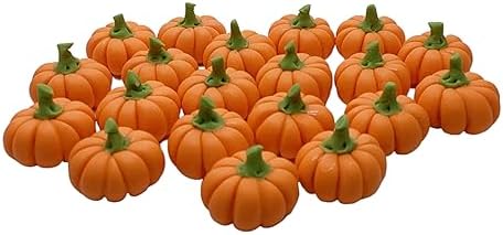 20 Mini Pumpkins Vegetable Garden Display Minimal Decor