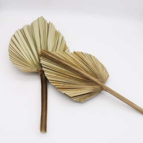 Dried Palm Leaves Bouquet 6 Pcs Eco-Friendly Decor