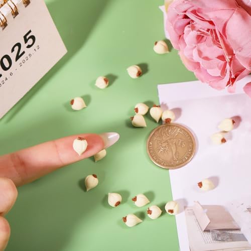 CHGCRAFT 20Pcs Mini Garlic Resin Artificial Decor