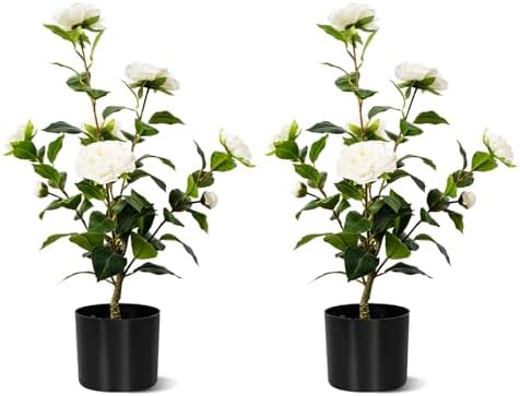 Artificial Camellia Tree 2 Pack White 2FT Cement Pot Decor