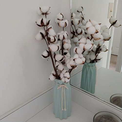 Cedilis 5 Pack Cotton Stems for Farmhouse Decor