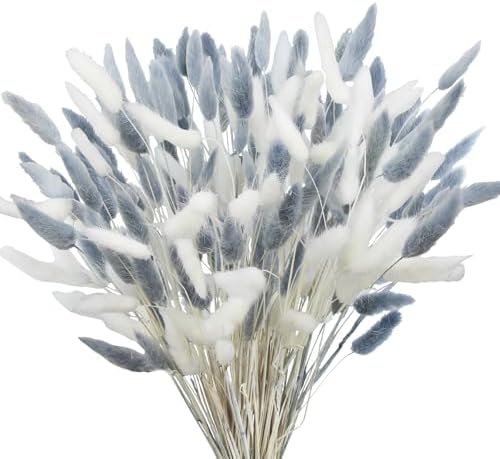 120Pcs Dried Bunny Tails Gray White Pampas Grass Boho Decor