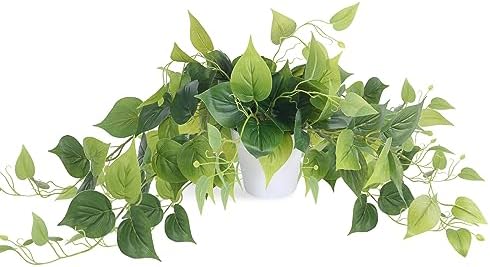 Tiita 1 Pack Artificial Scindapsus Aureus with Pot