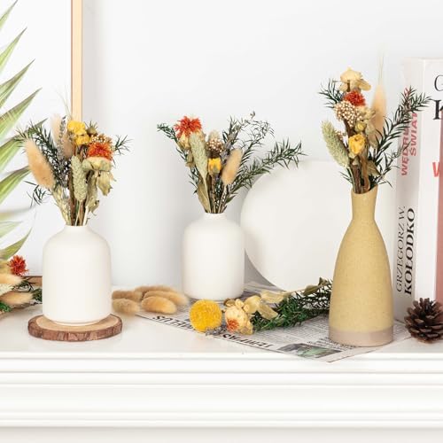 Natural Dried Flower Bouquets for Vase and Decor