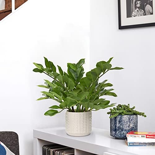 Briful 17 Inch Artificial ZZ Plant in Ceramic Pot