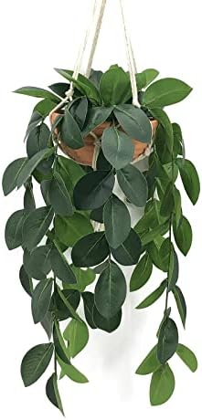 Hisow Artificial Hanging Plants with Clay Pot and Hook