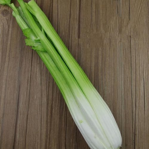 LOGOFUN Artificial Celery Photo Prop for Display