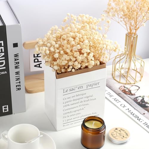 MIHUAGE Dried Flowers Bundles White Babys Breath Gypsophila Wedding Decor