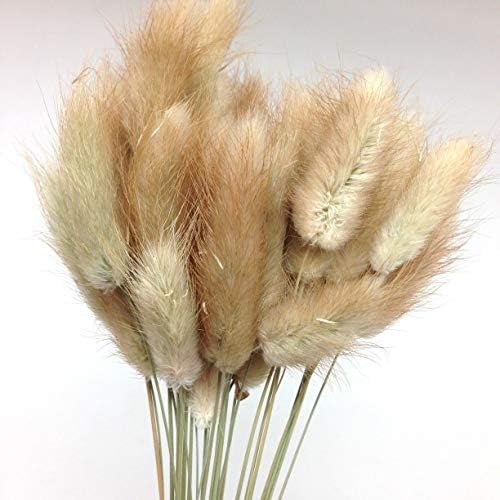 PEPPERLONELY 30pc Natural Dried Flower Rabbit Tail Grass Bouquets