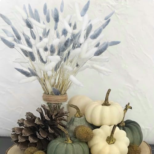 120Pcs Dried Bunny Tails Gray White Pampas Grass Boho Decor