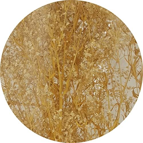 CalCastle Craft Dried Flower Babys Breath Bouquet 27 Inch 2oz Bundle