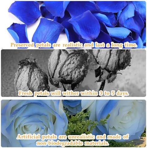 Tavkite Dried Blue Rose Petals for Wedding Decor