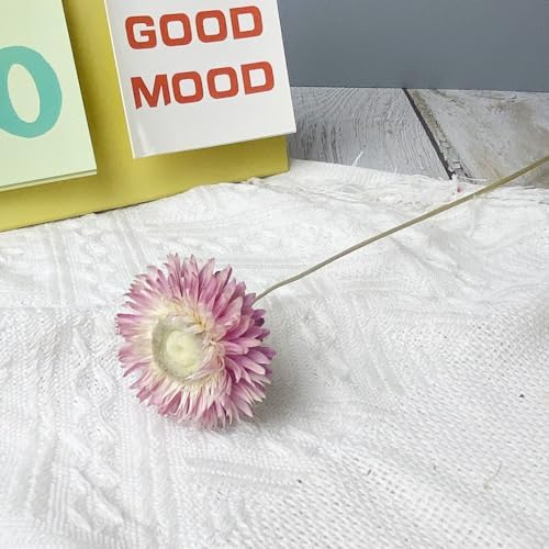 100 Natural Daisy Flowers Bouquets 30Pcs Pink Daisies Chrysanthemums