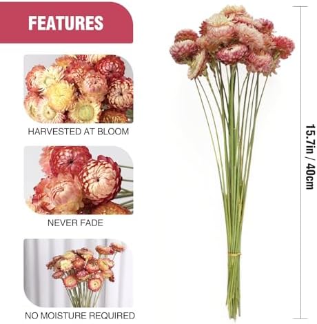 MIHUAGE Dried Flower Bouquet 40PCS Light Purple Chrysanthemum