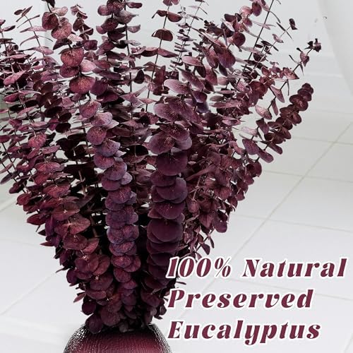 Kocat 20PCS Burgundy Eucalyptus Stems - Dried Preserved Real