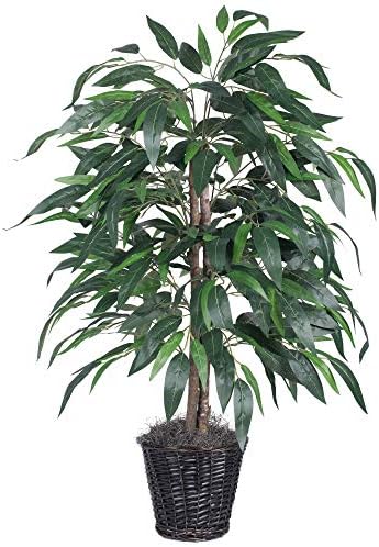 Vickerman 4 Foot Indoor Artificial Mango Bush with Rattan Container