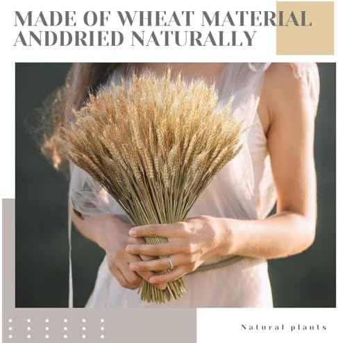 Geosar 600 Dried Wheat Stalks Decor Bundle