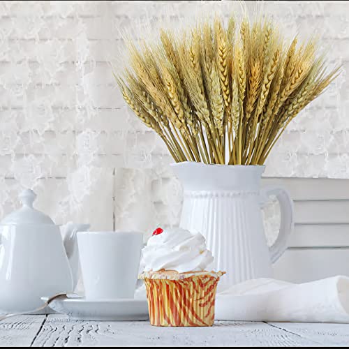 CISDUEO 100 Pcs Natural Dried Wheat Stalks Bundle