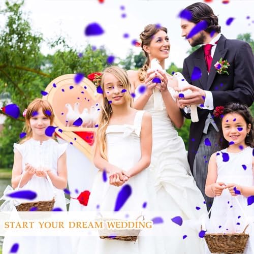 Tavkite Dried Blue Rose Petals for Wedding Decor