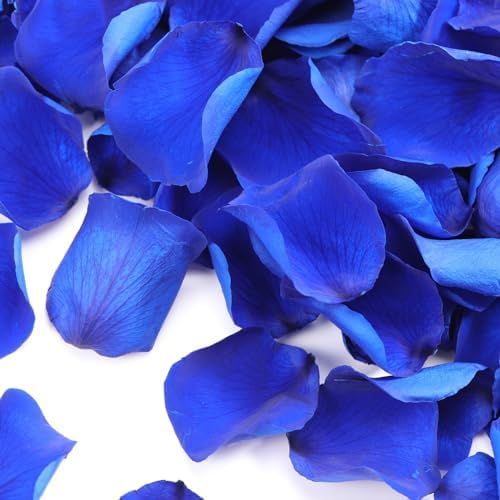 Tavkite Dried Blue Rose Petals for Wedding Decor