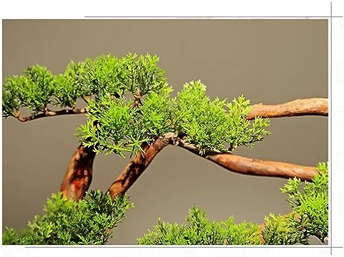 FAFACAI Artificial Bonsai Tree with Pine and Maple Leaves Gold Gray