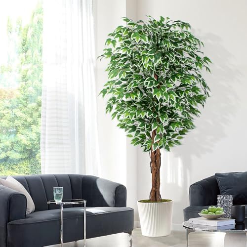62ft Ficus Artificial Tree with 3 Curved Trunks