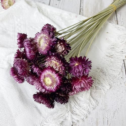 100 Natural Daisy Flowers Bouquets 30 Pcs 17 Inch Decor