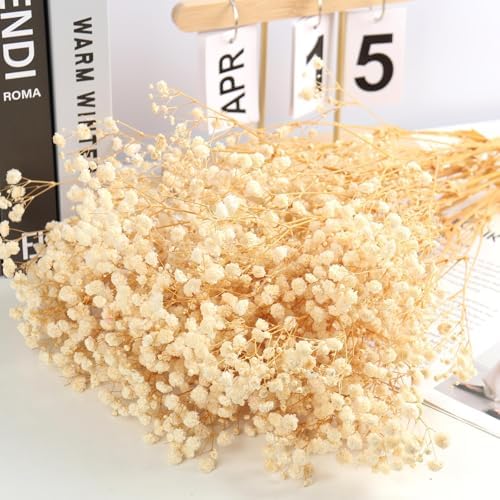 MIHUAGE Dried Flowers Bundles White Babys Breath Gypsophila Wedding Decor
