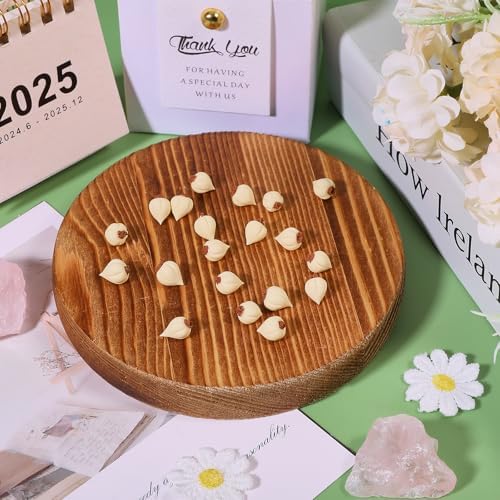 CHGCRAFT 20Pcs Mini Garlic Resin Artificial Decor