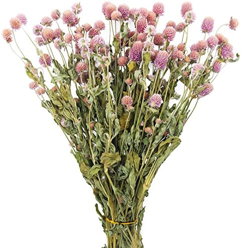 JOJAZE Dried Flower Bouquet Pink Globe Amaranth Natural Wedding Decor