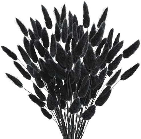 17 Inch Natural Black Bunny Tails Dried Flowers 240 Pcs