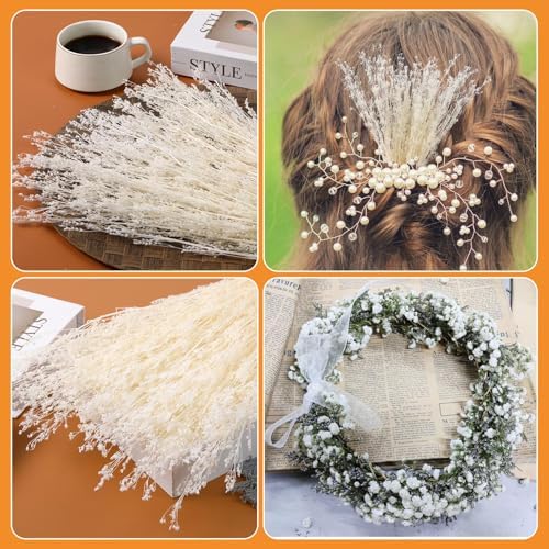 Tavkite Dried White Babys Breath Bouquet 17 Inch