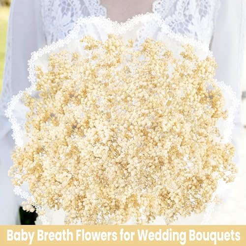 3500 Ivory White Flowers Bulk Pack - Artificial Babys Breath and Wildflowers
