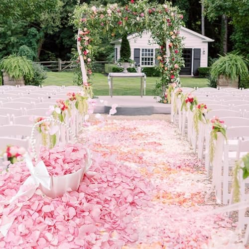 1500Pcs Real Hydrangea Pink Dried Flower Petals