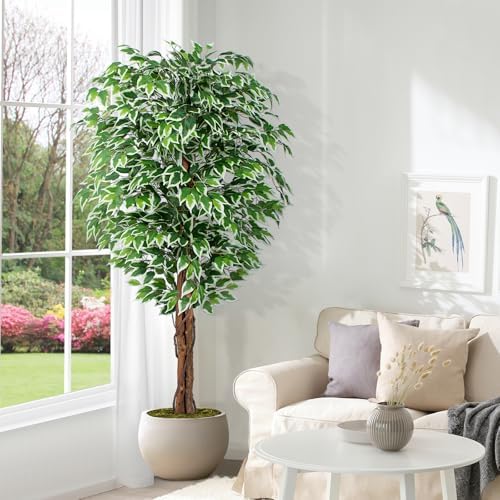 62ft Ficus Artificial Tree with 3 Curved Trunks