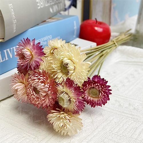 LBREVOGA Dried Flower Bouquets 16 Piece Pink White