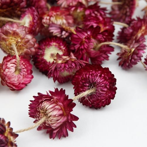 Dried Flower Garland 105ft 63 Pcs Real Daisy Sunflower Decor