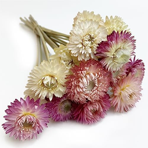 LBREVOGA Dried Flower Bouquets 16 Piece Pink White