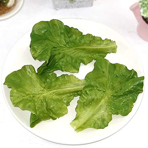 Nice Purchase 6pcs Simulation Green Lettuce Leaves Fake Vegetable Model