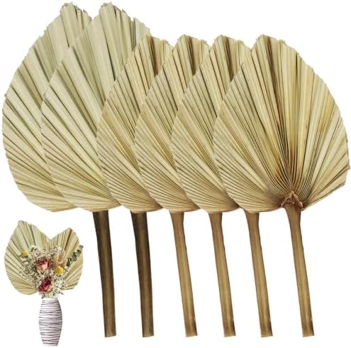 Dried Palm Leaves Bouquet 6 Pcs Eco-Friendly Decor