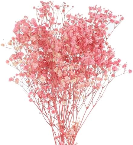 MECCANIXITY Artificial Dried Babys Breath Flowers 12 Inch Light Pink 1